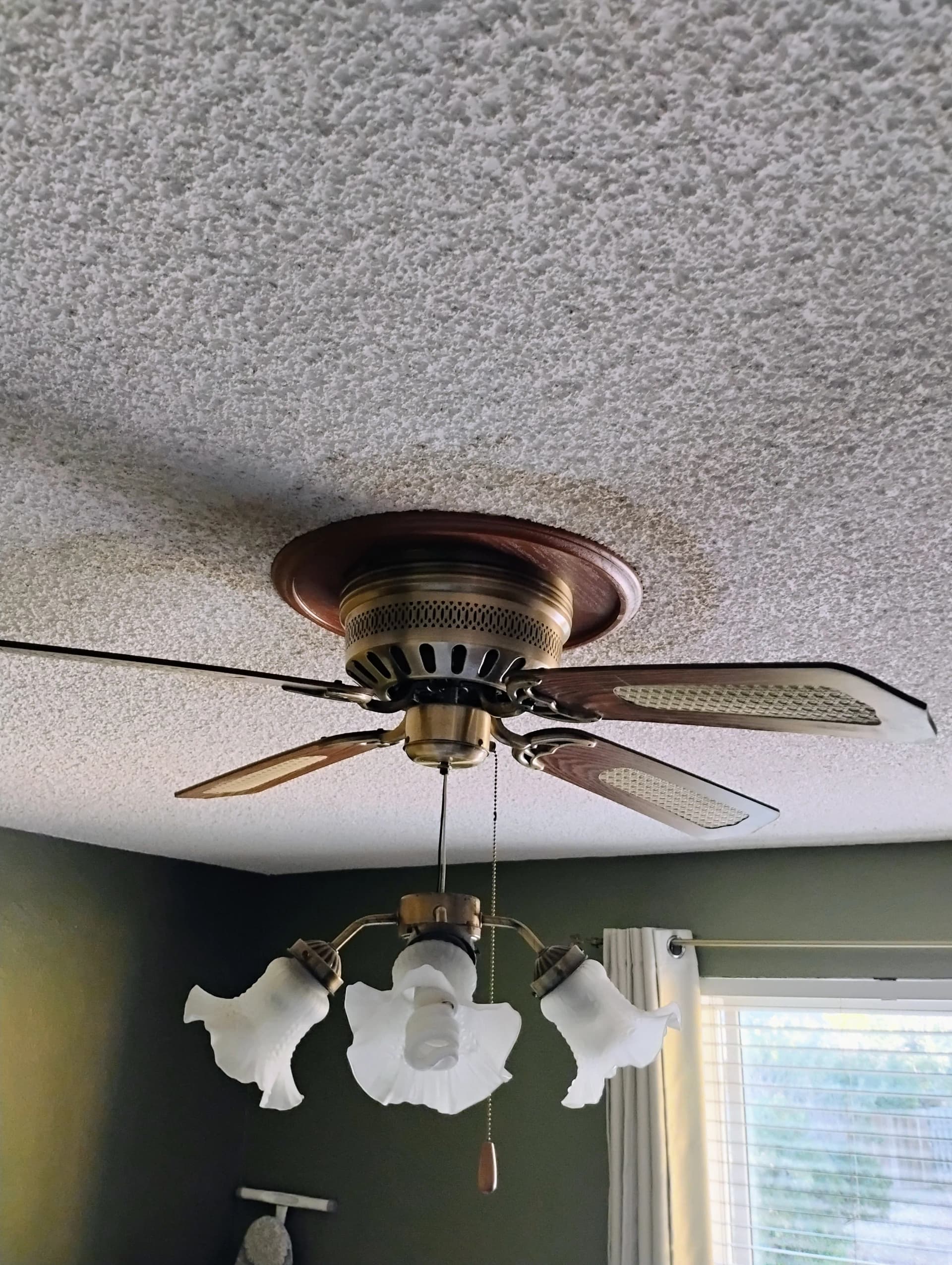 Don't Ignore a Small Roof Leak - Here's Why image