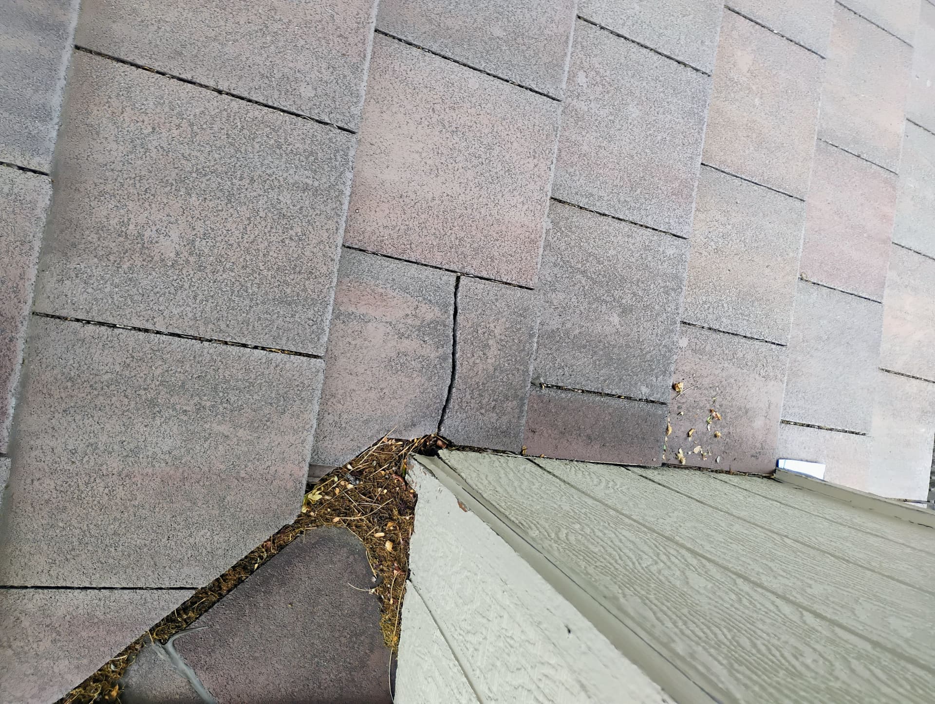 Roof Inspection Catches a Repair Before It Becomes a Real Problem image