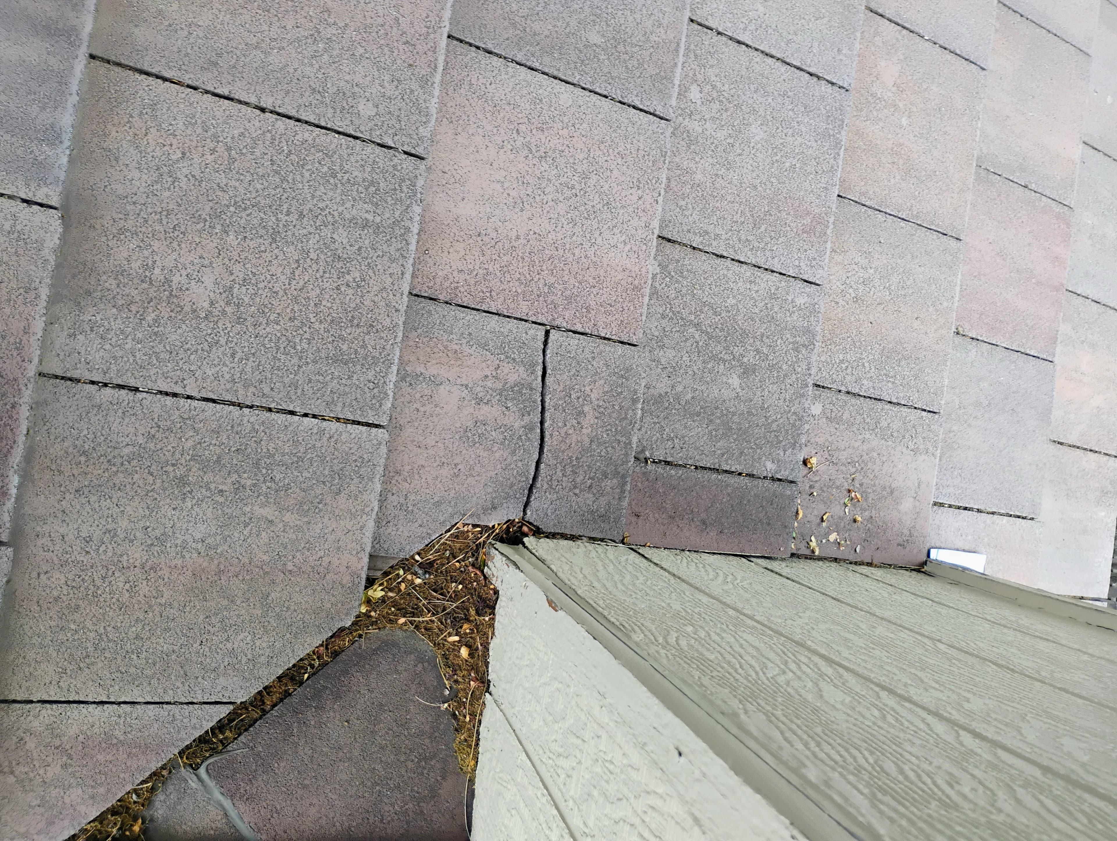 Project Roof Inspection Catches a Repair Before It Becomes a Real Problem image