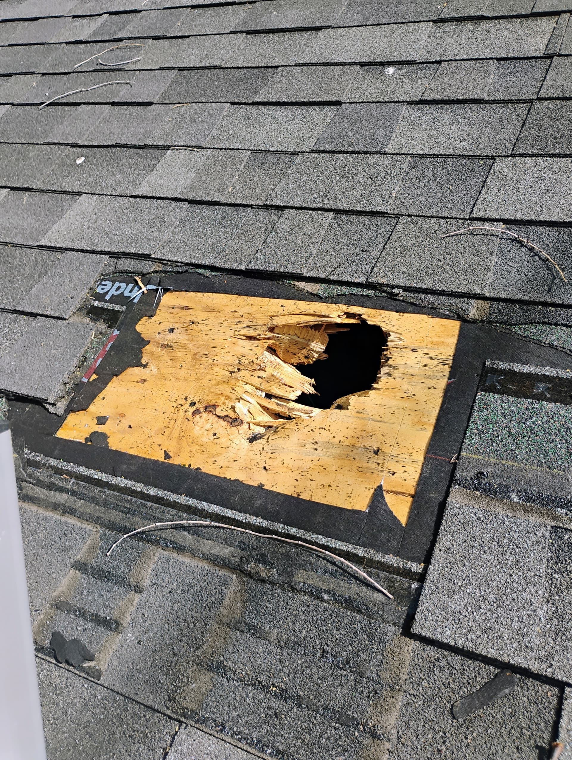 Tree Limb Punched Through This Roof Down to the Decking image