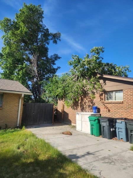 Colorado Weather Is Tough on Roofs - Free Inspections Available Now image